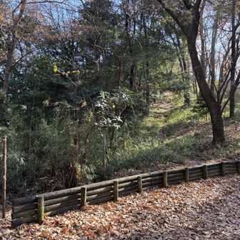 太郎四郎山への登り口
うっかりすると通り過ぎる