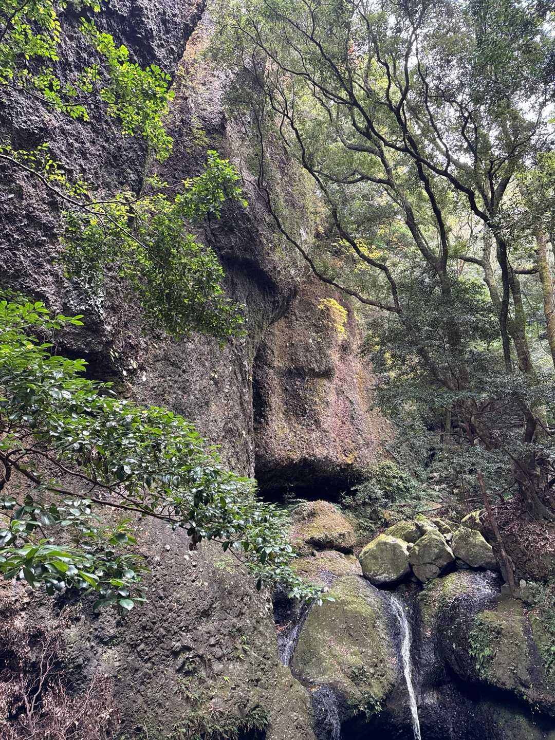 竜門ダム登山口-青牧峠-青螺山-見返り峠 周回コースの写真