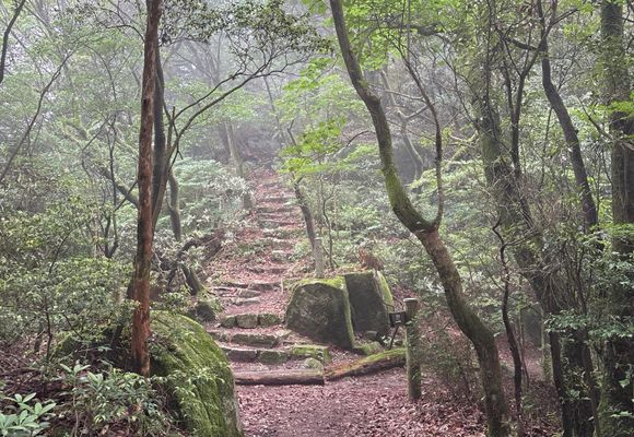 宝満山〜初めてのうさぎ道🐇⛰️ / まこちゃんの登山データ | YAMAP