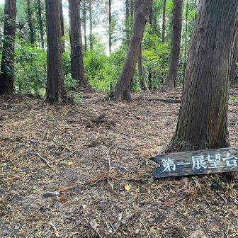 第一展望台到着　しかし展望はゼロ