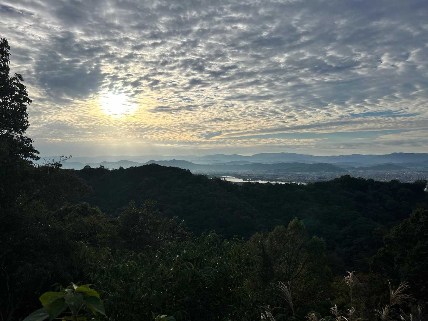 弁財天社-不動山-札立山 往復コースの写真