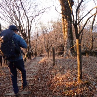 朝日を浴びながら歩きます。