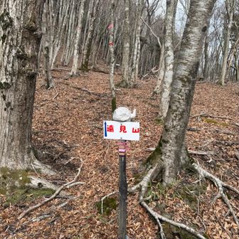 なぜやかん⁉️