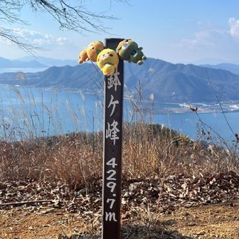 みきゃんフルメンバー集合🤩