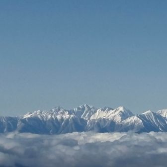 肉眼だとこんな印象です。