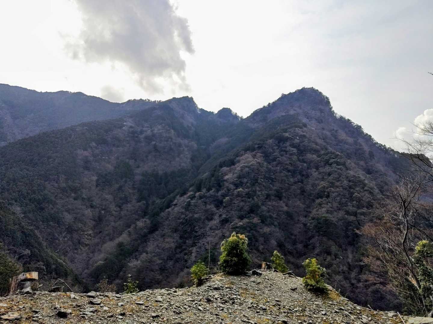 あのコブは最初のピークの飯盛山北峰
あんな急斜面をよく登った🤭