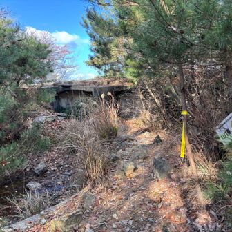 砲台を跨いで(？)、頂上へ