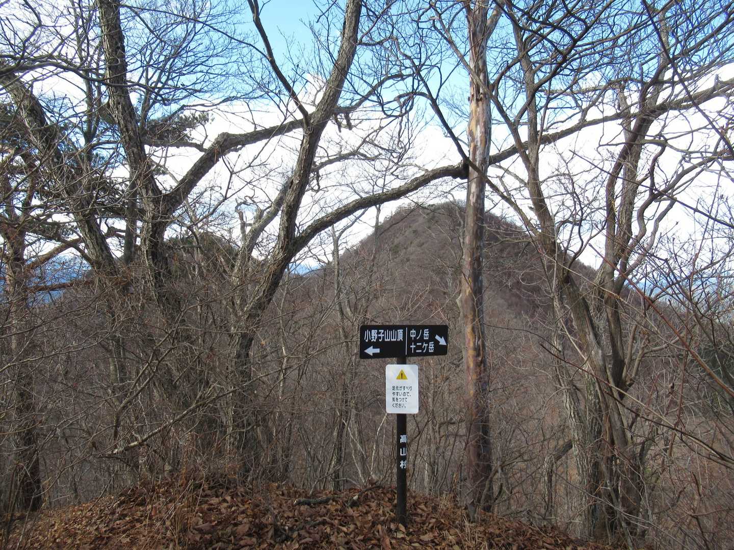 手前に見えているのが中ノ岳、その先、少し左に見えているのが十二ヶ岳