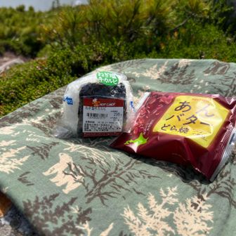 今日の手ぬぐいは森のクマさん
セコマのおにぎり🍙とあんバターどら焼き‼︎
エネルギー充填でこの後頑張る😤