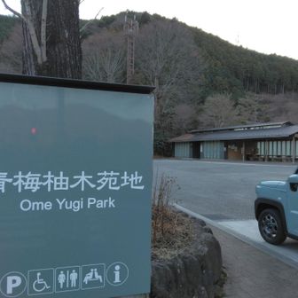 今日はこれまで、天気に恵まれた一日、ありがたかった