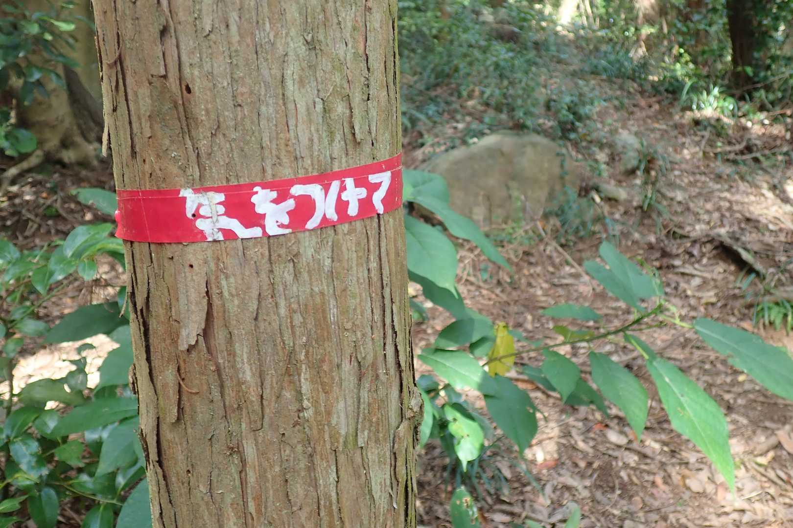 はーい