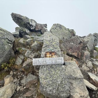 蝶槍到着