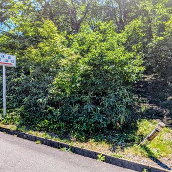 秣岳登山口到着　
ここからの車道歩きが長い💦