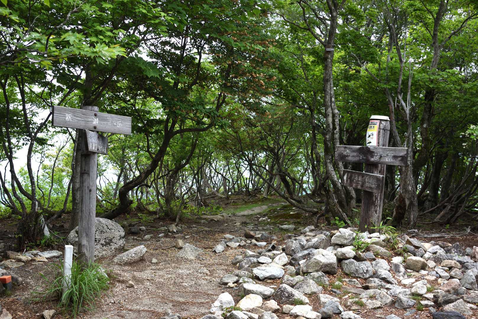 釈迦岳山頂は広い
テント張れそう（実際張り跡っぽいのもあった）