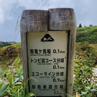 アルプス見ながら歩きたかったー
南竜ヶ馬場(みなみりゅうがばんば)って読むのね、ひとつお利口さんになった

