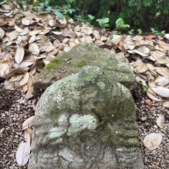もう一つはこれ
下の方が地面に埋まってるので番号は確認できなかったけど欠番のうちのどれかに間違いなさそう