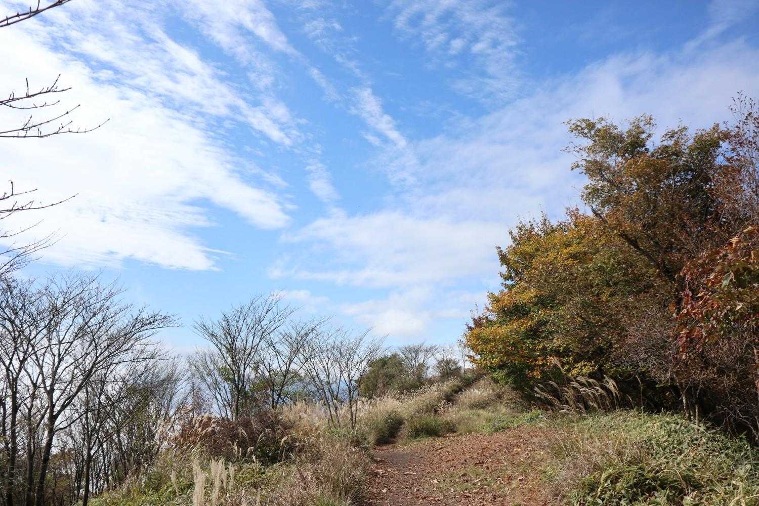 鍋割山 | 山頂に広がる大パノラマ、木漏れ日と岩肌の楽しめる初心者コースの写真