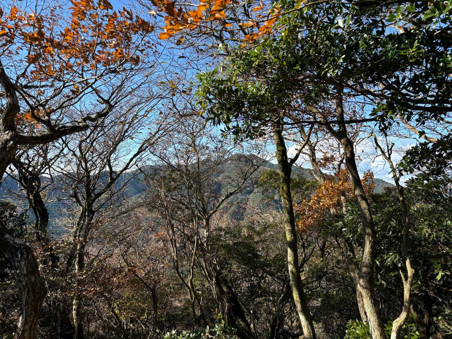 鈴鹿峠-三子山 往復コースの写真