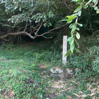 こちらから登山スタート