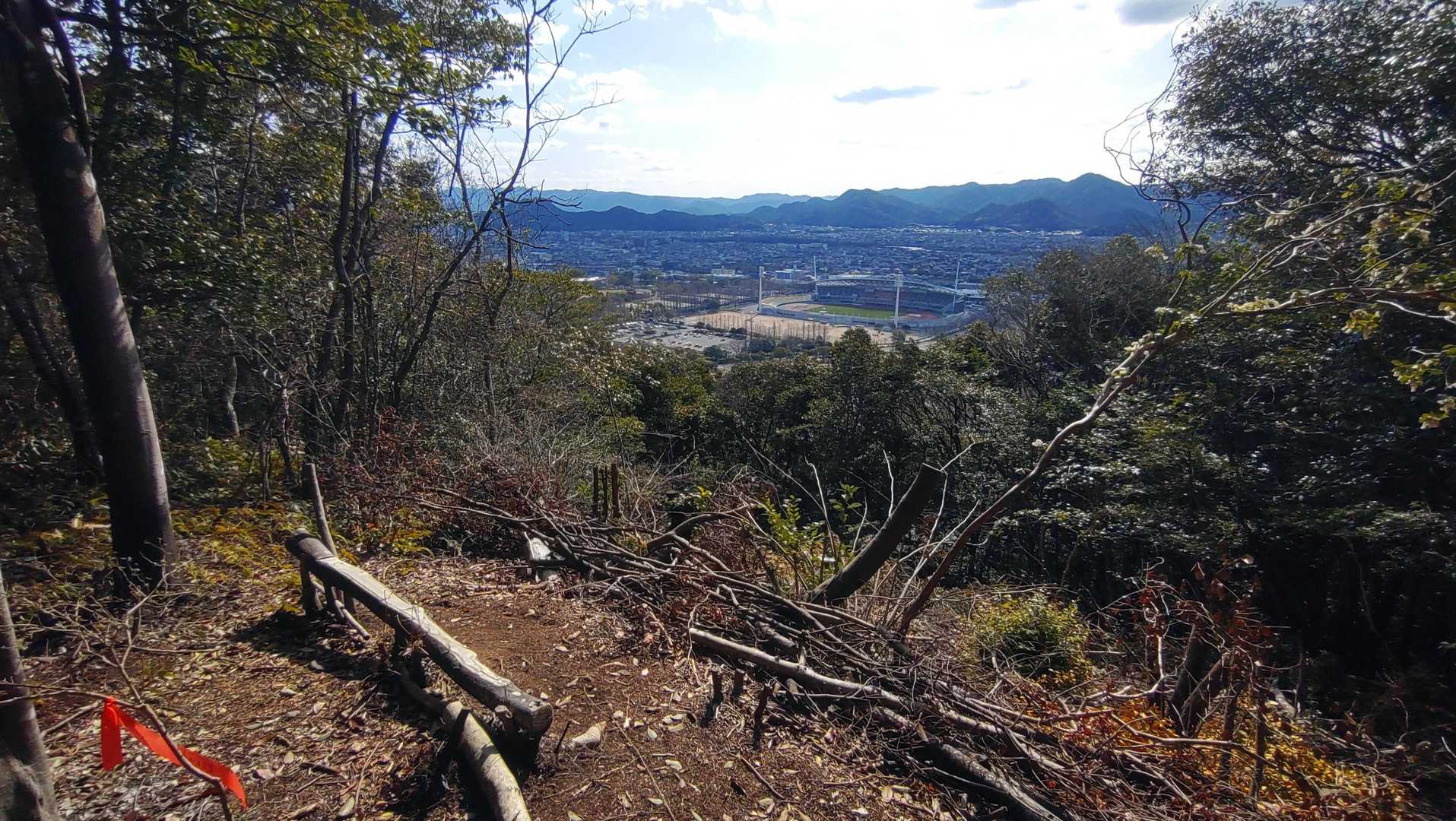確かに良く見えます。