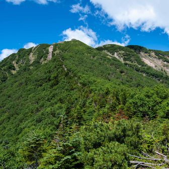 まずは目の前の横岳稜線を目指します。