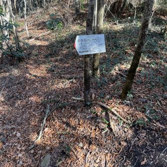 作礼山向かう道に戻る。