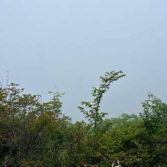 心の目で見て。榛名湖と榛名富士