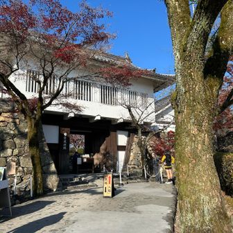 無料で見れるのはここまで、ですか…


天守閣が見れない…