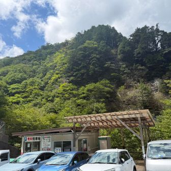 ありがとうございました