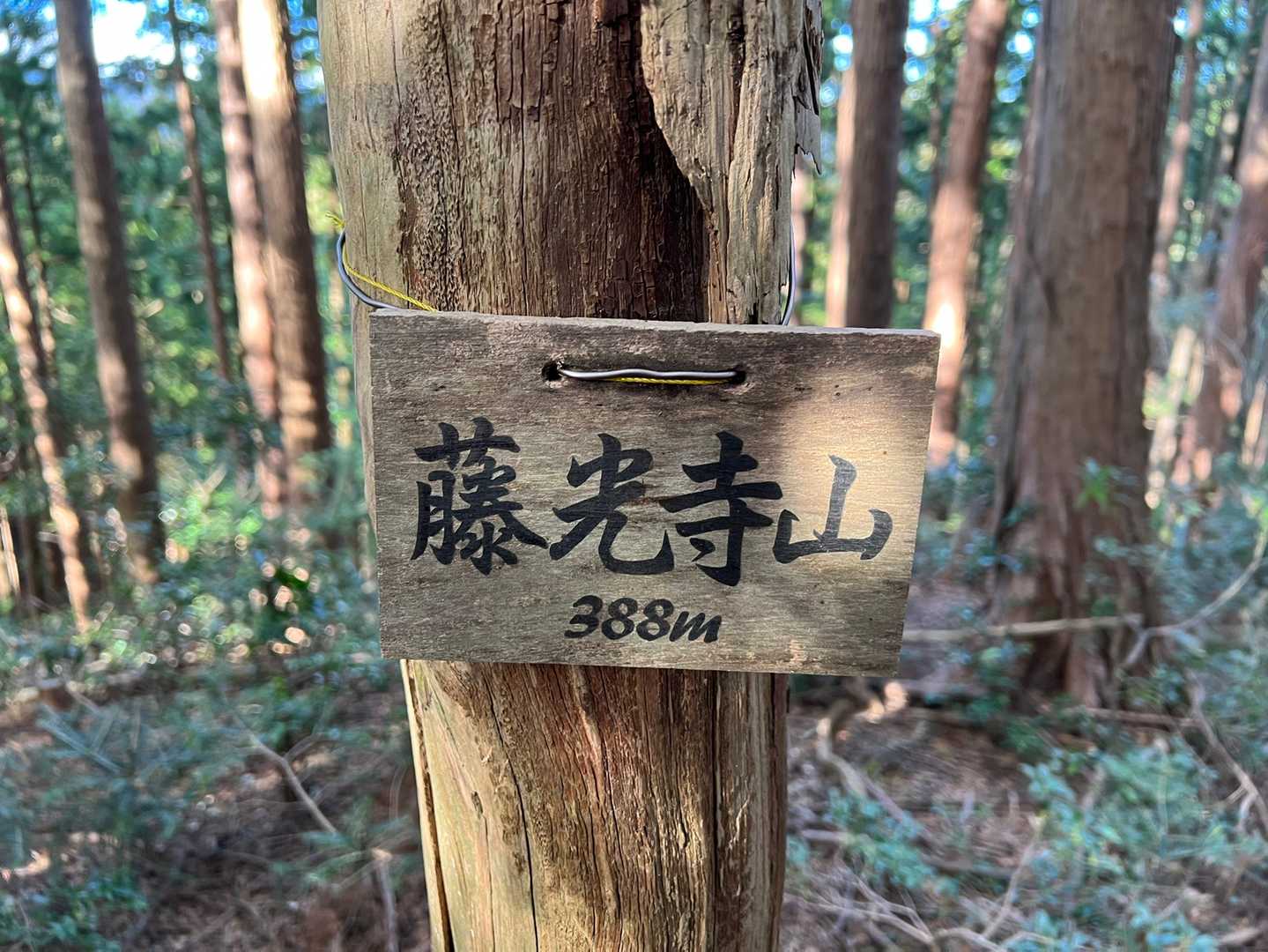 藤光寺山⛰飯百その9