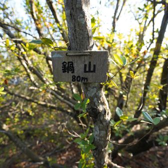 鍋山 山頂　80m。