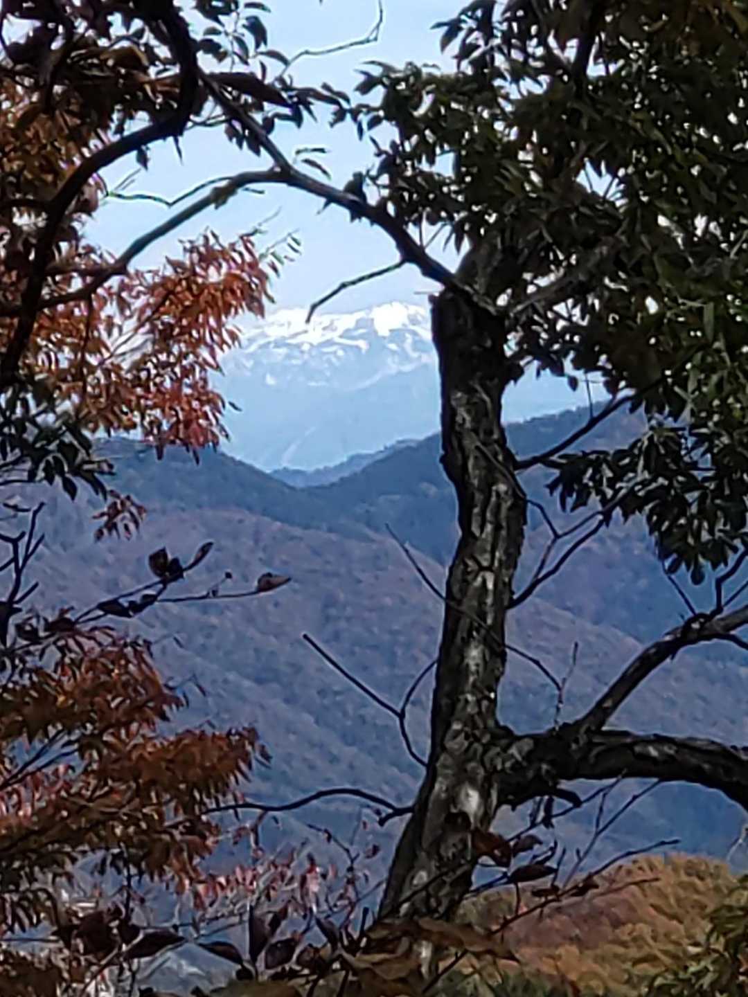 白山が望めます✨