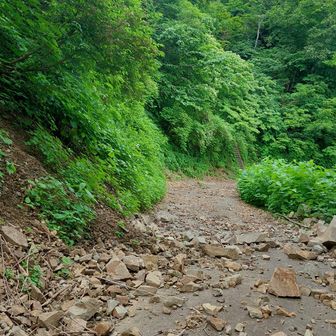 林道はこんな感じ だから通行止めなんだ  奥に見える🪜から登ります
