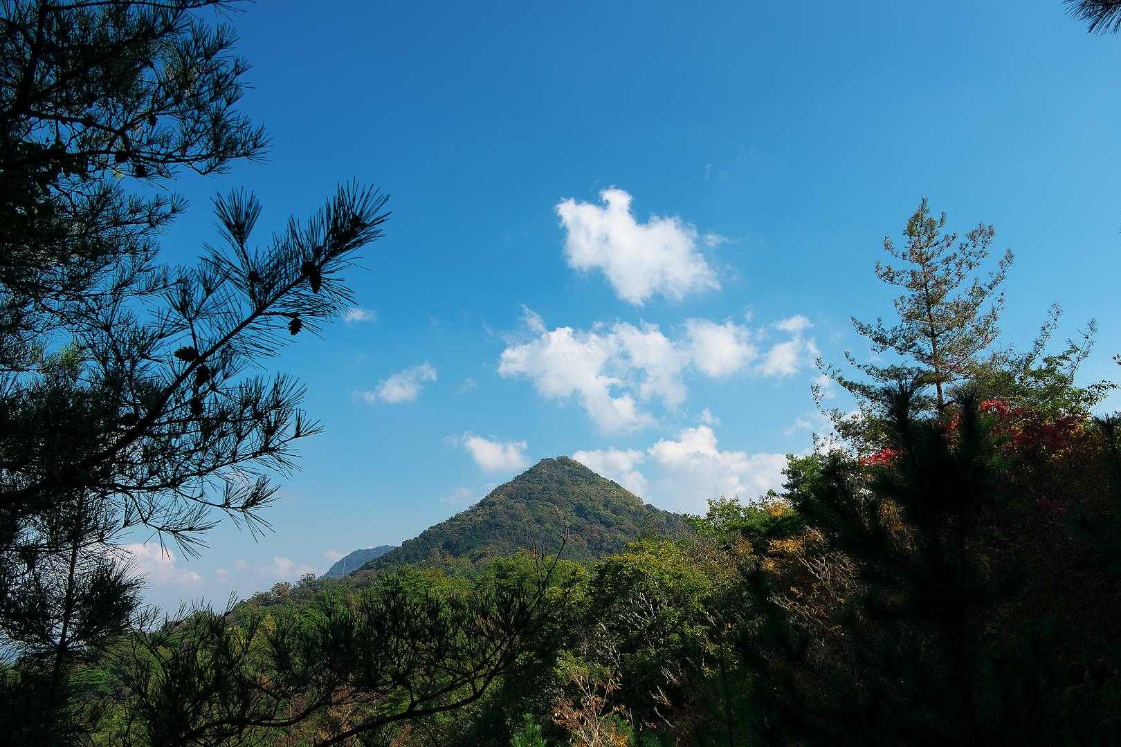 今日の猫山。良い感じ～♪