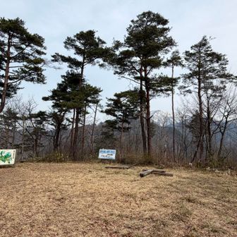 後ろは甑岳かな