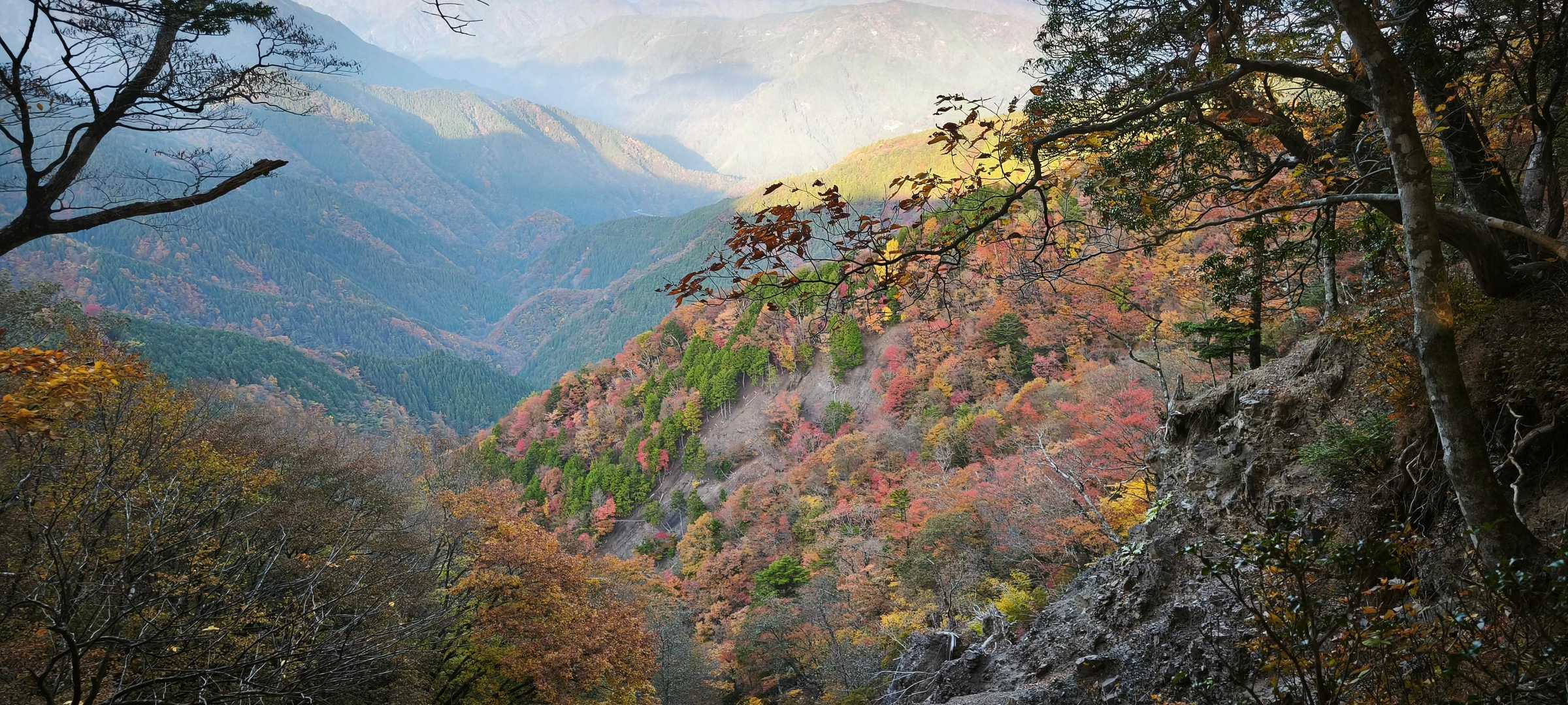 麻布山登山口-三森-麻布神社奥宮跡-麻布山-戸中山-前黒法 往復コースの写真