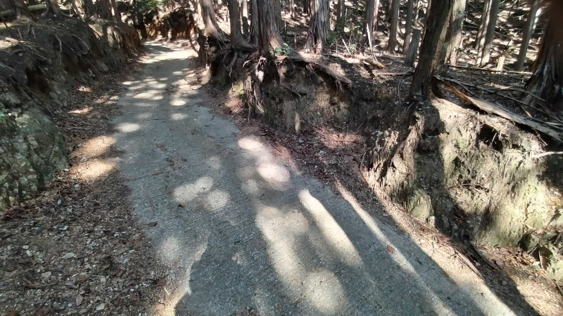 すぐ舗装路に出て、しばらく舗装路歩きです