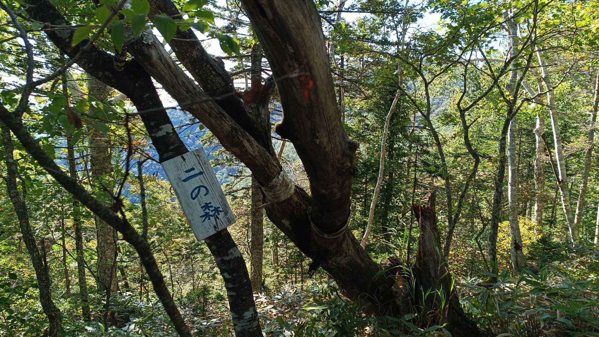 二の森