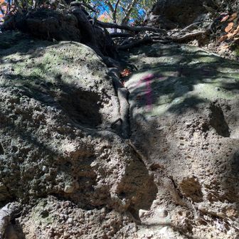 ロープ無しです💦