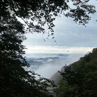 雲海🤩これこれ✨