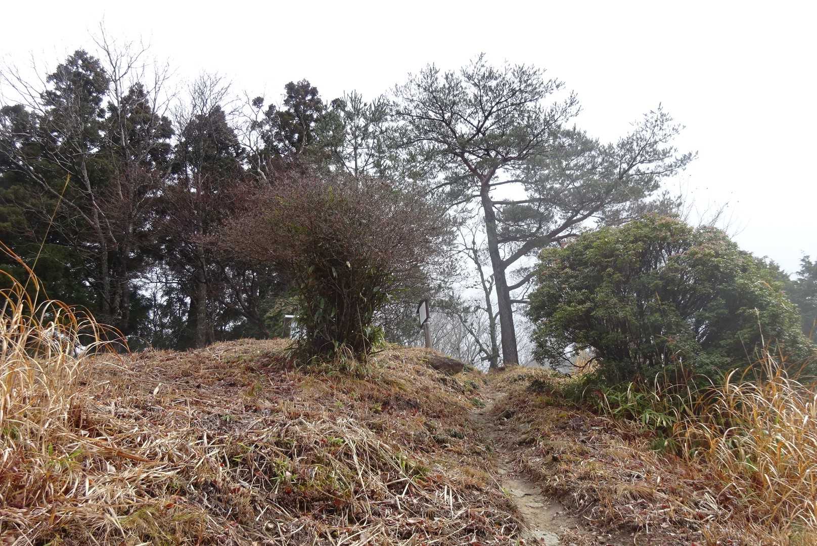 高城岳山頂付近
開けてます