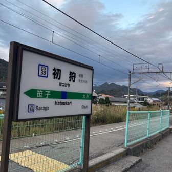 のんびり帰りまーす