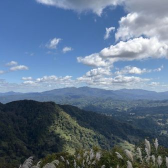 守門いいねー