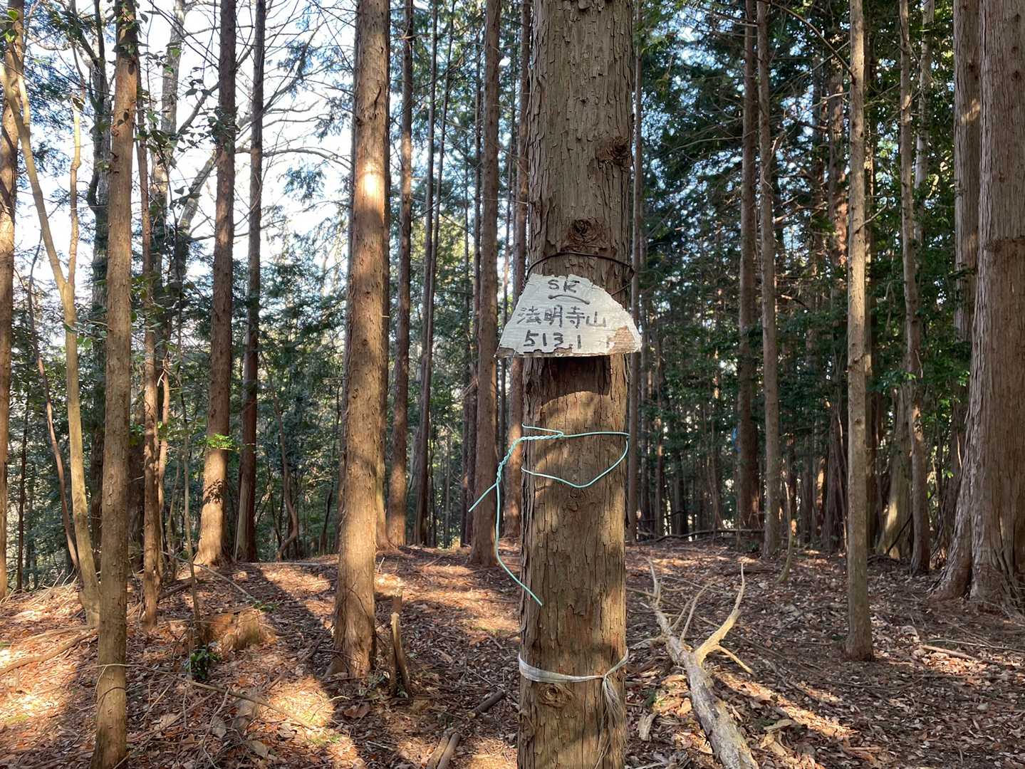 法明寺山に到着〜、展望は無し。