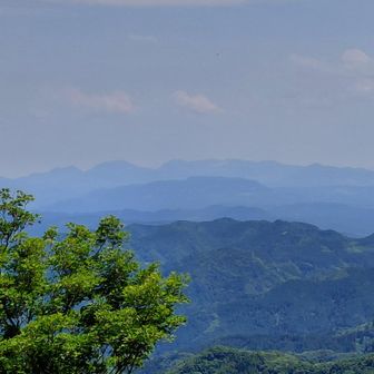 かなり霞んできたが中岳は展望が良い。これはくじう先輩。