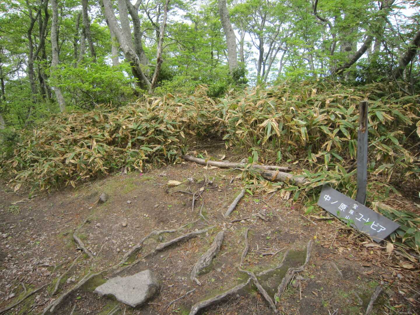 宝珠山の写真