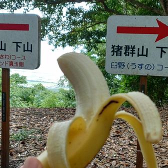 …お腹すいた
早く下山しておかんのとこに行こう