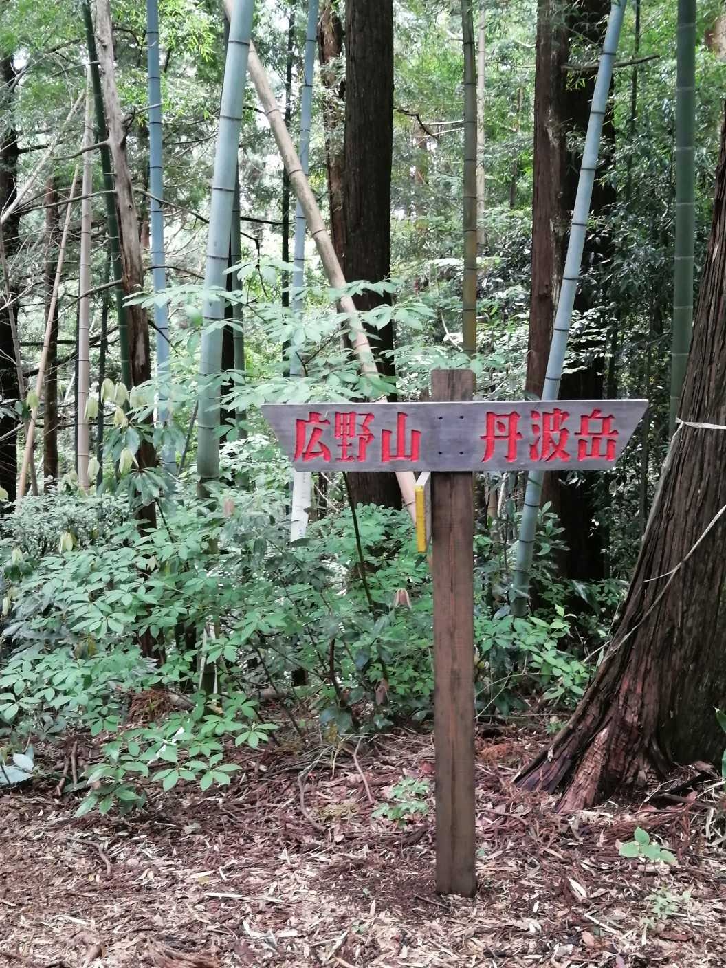 手彫りの道標がとても良いですね👍
広野山はまたこんど！