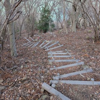 宮ヶ瀬湖に下る最後の激階段（この先に今日のルート最大の難所が…）