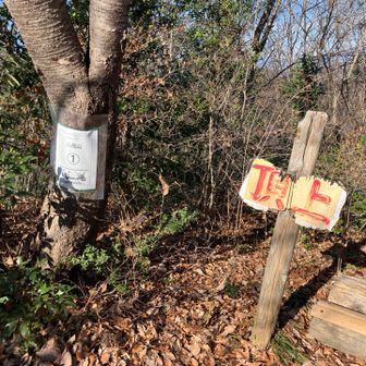 八幡山はこの程度の表示、眺望はほぼなし。